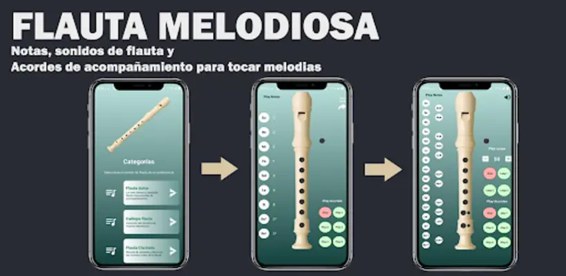 Flauta Melodiosa android App screenshot 3